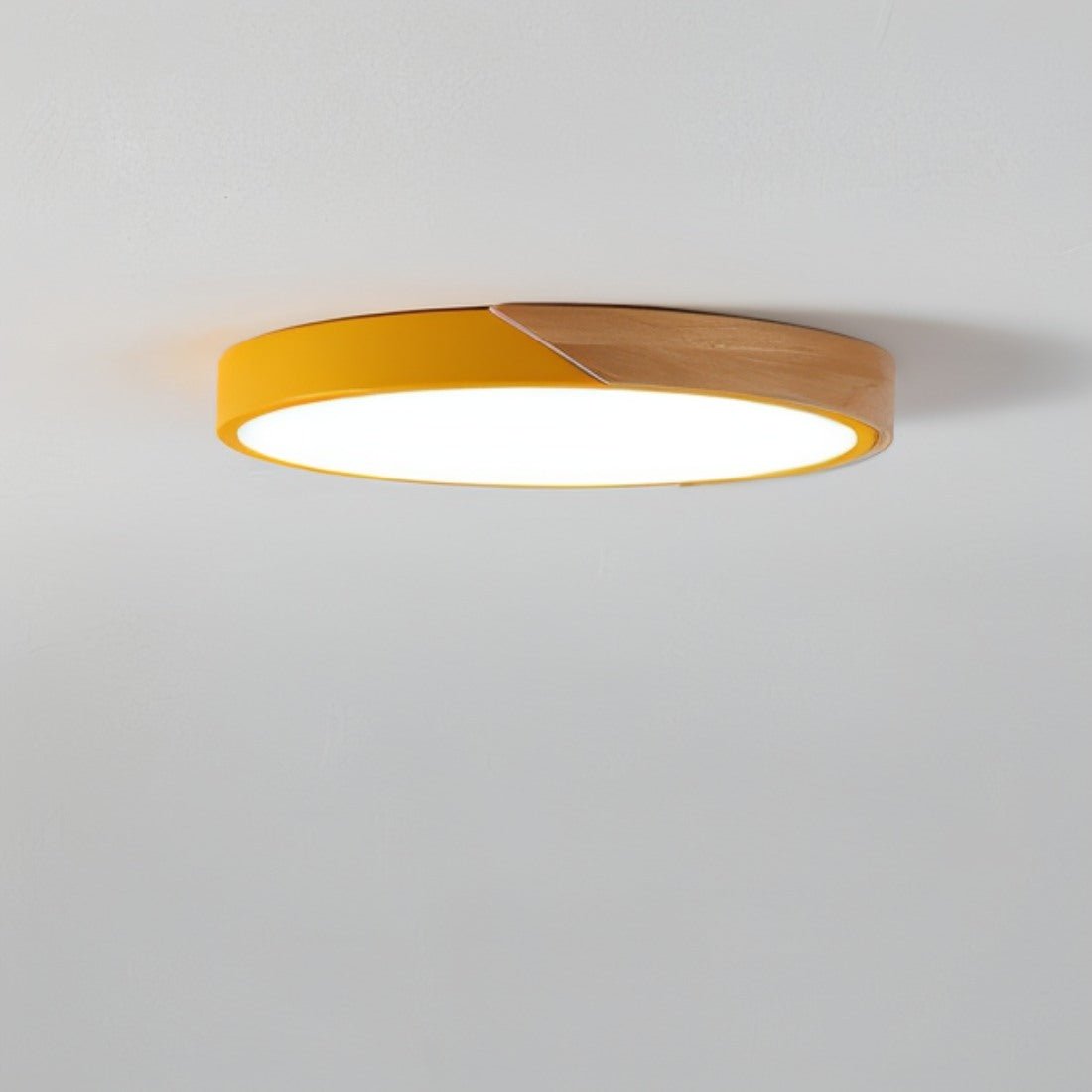 Delphi Lampada da Soffitto