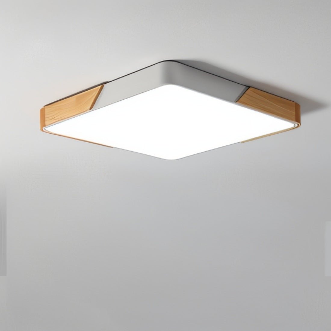 Delphi Lampada da Soffitto