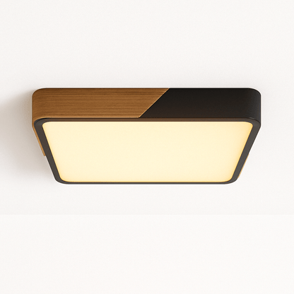 Delphi Lampada da Soffitto