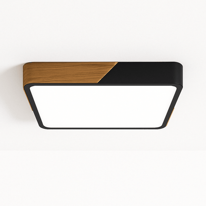 Delphi Lampada da Soffitto