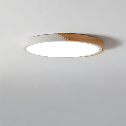 Delphi Lampada da Soffitto